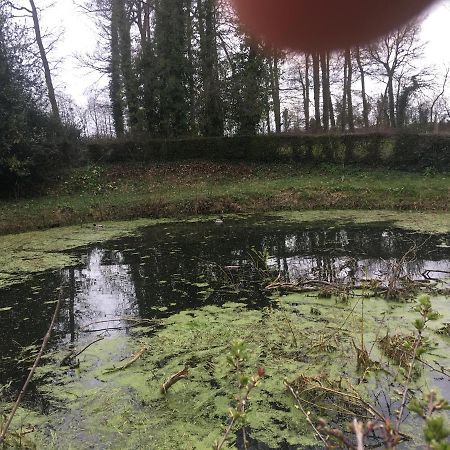Le Colombier De Royaumont Villa Saint-Arnoult  ภายนอก รูปภาพ