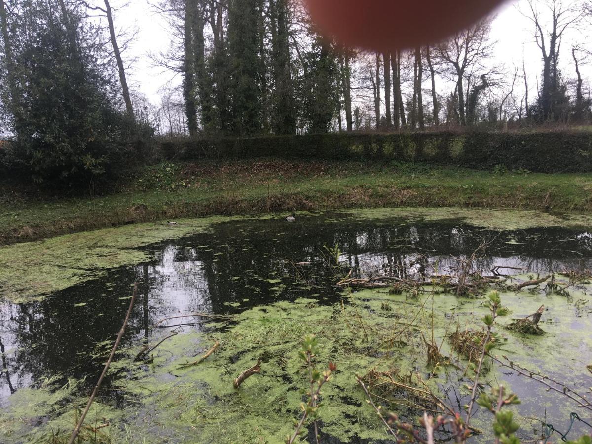 Le Colombier De Royaumont Villa Saint-Arnoult  ภายนอก รูปภาพ